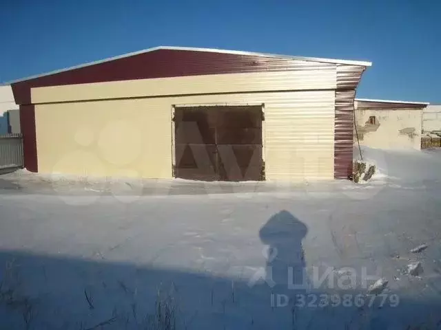 Помещение свободного назначения в Алтайский край, Славгород ул. ... - Фото 1