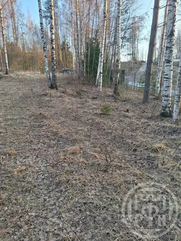 Участок в Ленинградская область, Всеволожский район, д. Юкки ул. ... - Фото 1
