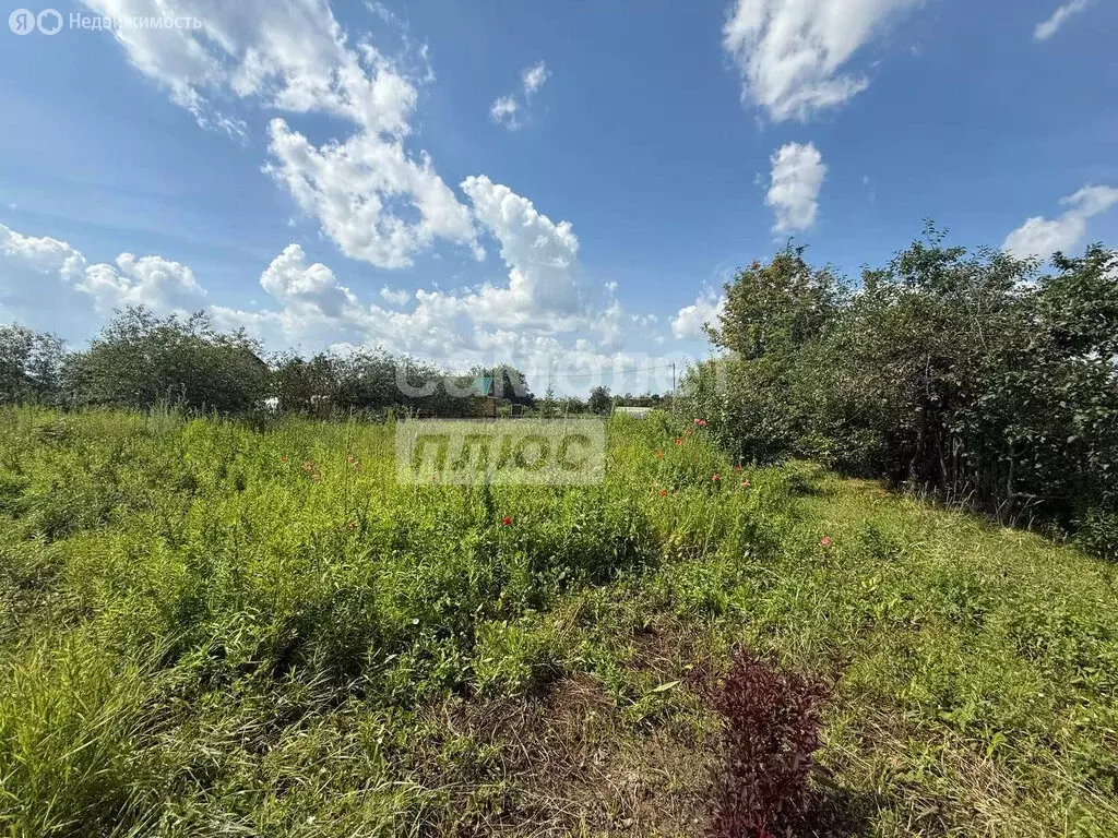 Участок в Медведевский район, Пекшиксолинское сельское поселение, ... - Фото 2