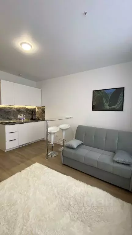 Студия Москва Пятницкое ш., 56Б (25.0 м) - Фото 1