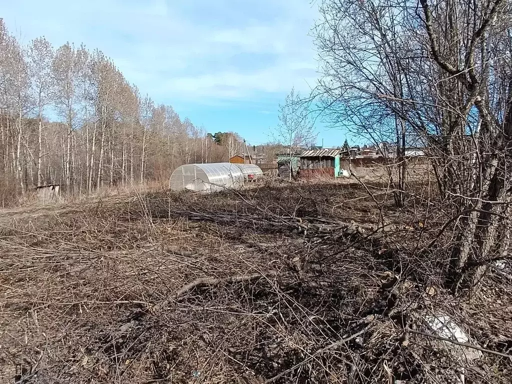 Участок в Томская область, Томск Микрон садовое товарищество, ул. ... - Фото 1