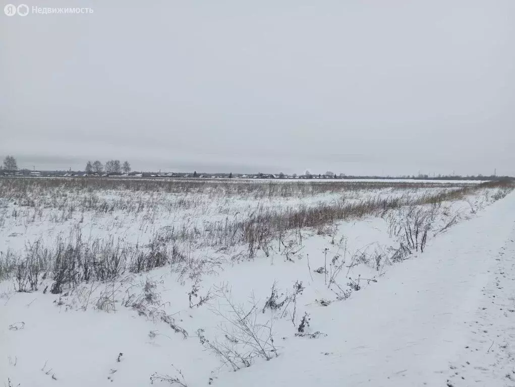 Участок в Костромской район, Шунгенское сельское поселение, деревня ... - Фото 0