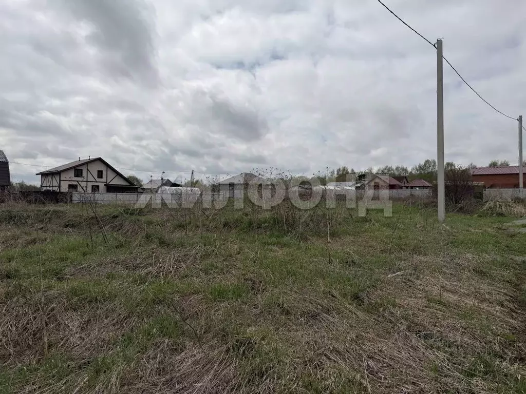 Участок в Новосибирская область, Искитимский район, Мичуринский ... - Фото 2