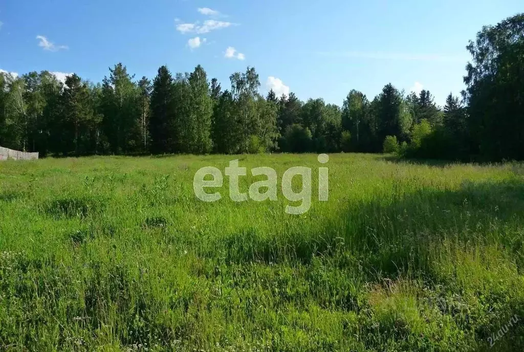 Участок в Свердловская область, Нижний Тагил ул. 1-я Звездная, 1 (9.2 ... - Фото 1