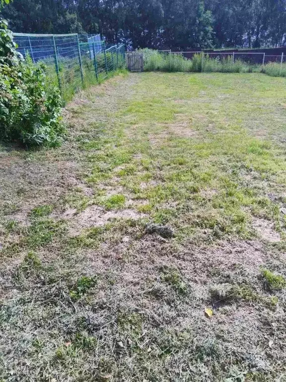 Дом в Нижегородская область, Нижний Новгород Канашская ул. (35 м) - Фото 2