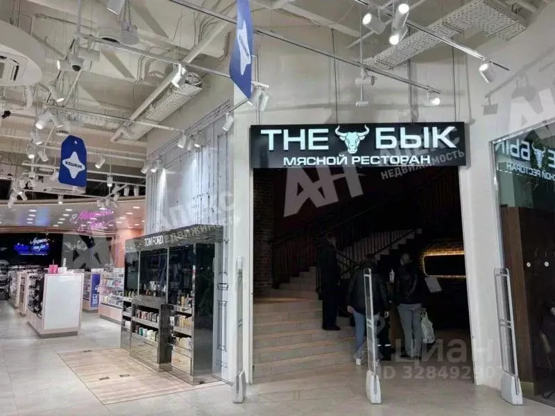 Помещение свободного назначения в Москва ул. Новый Арбат, 11С1 (11777 ... - Фото 2