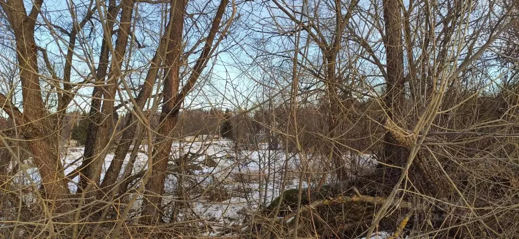 Участок в Московская область, Талдомский городской округ, д. ... - Фото 1