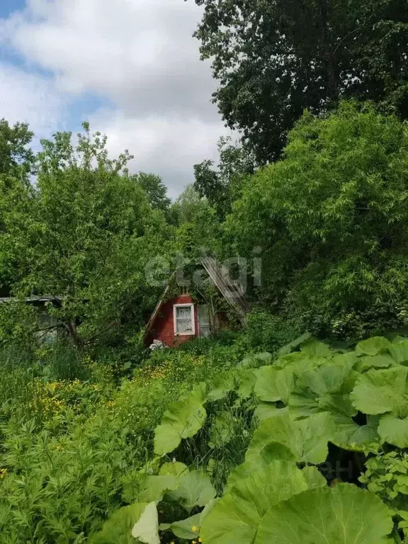 Дом в Сахалинская область, Долинск  (40 м) - Фото 1