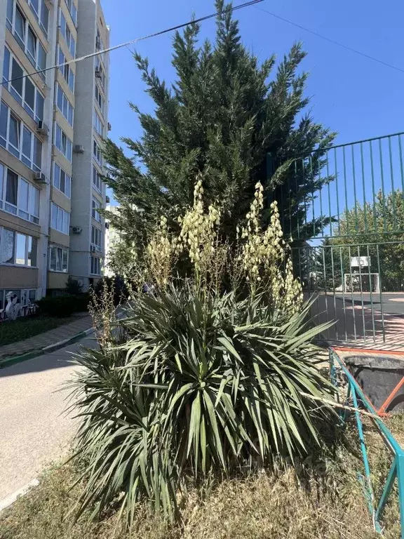 2-к кв. Крым, Симферополь ул. Тургенева, 13А (72.3 м) - Фото 1
