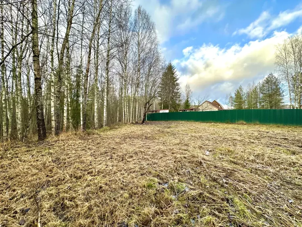 Участок в Ленинградская область, Гатчинский муниципальный округ, ... - Фото 2