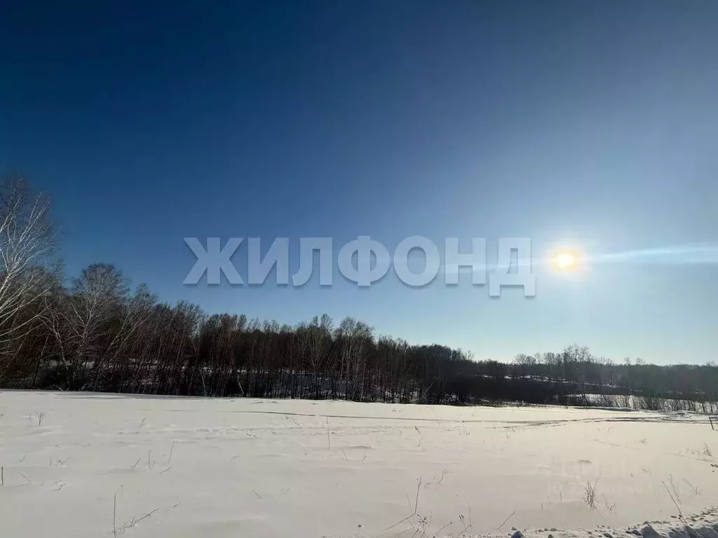 Участок в Новосибирская область, Кольцово рп  (87.99 сот.) - Фото 1