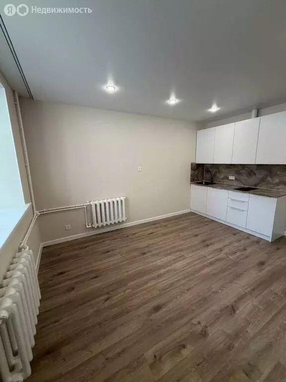 Квартира-студия: Самара, Никитинская улица, 53 (29.2 м) - Фото 1