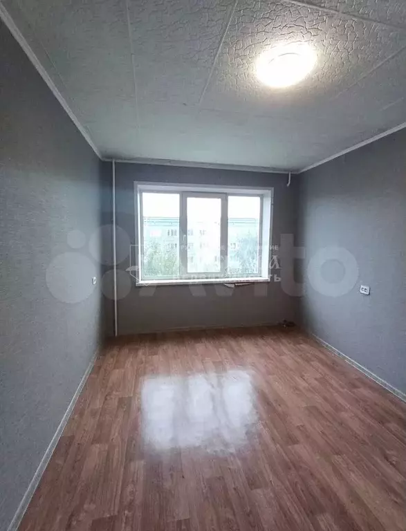 1-к. квартира, 22,5 м, 8/9 эт. - Фото 1