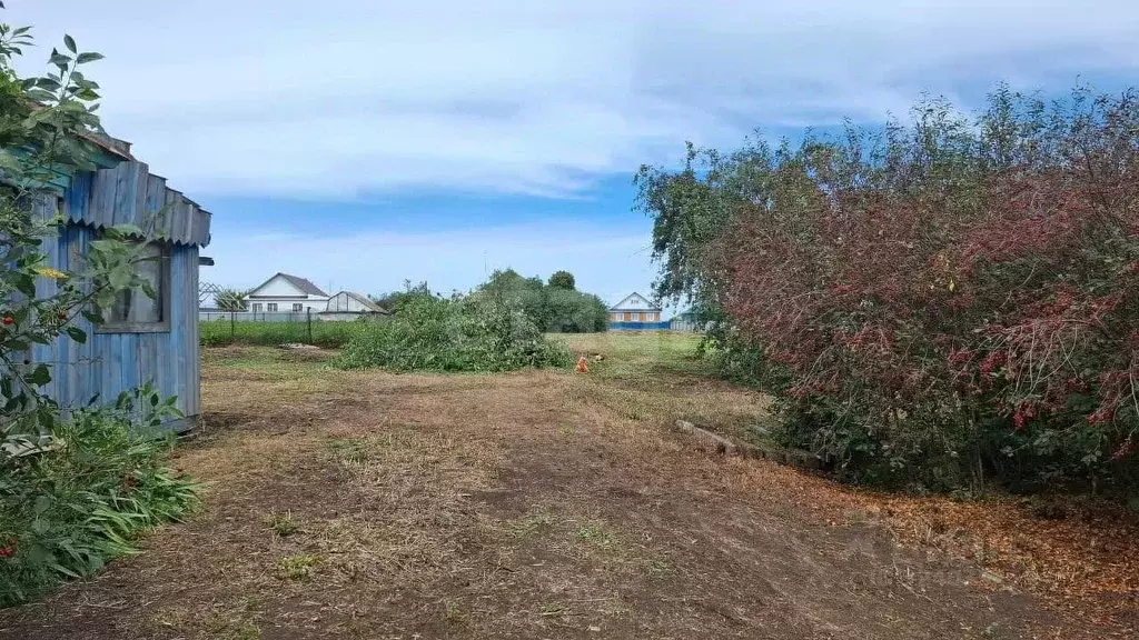 Участок в Башкортостан, Кушнаренковский район, Шариповский сельсовет, ... - Фото 2