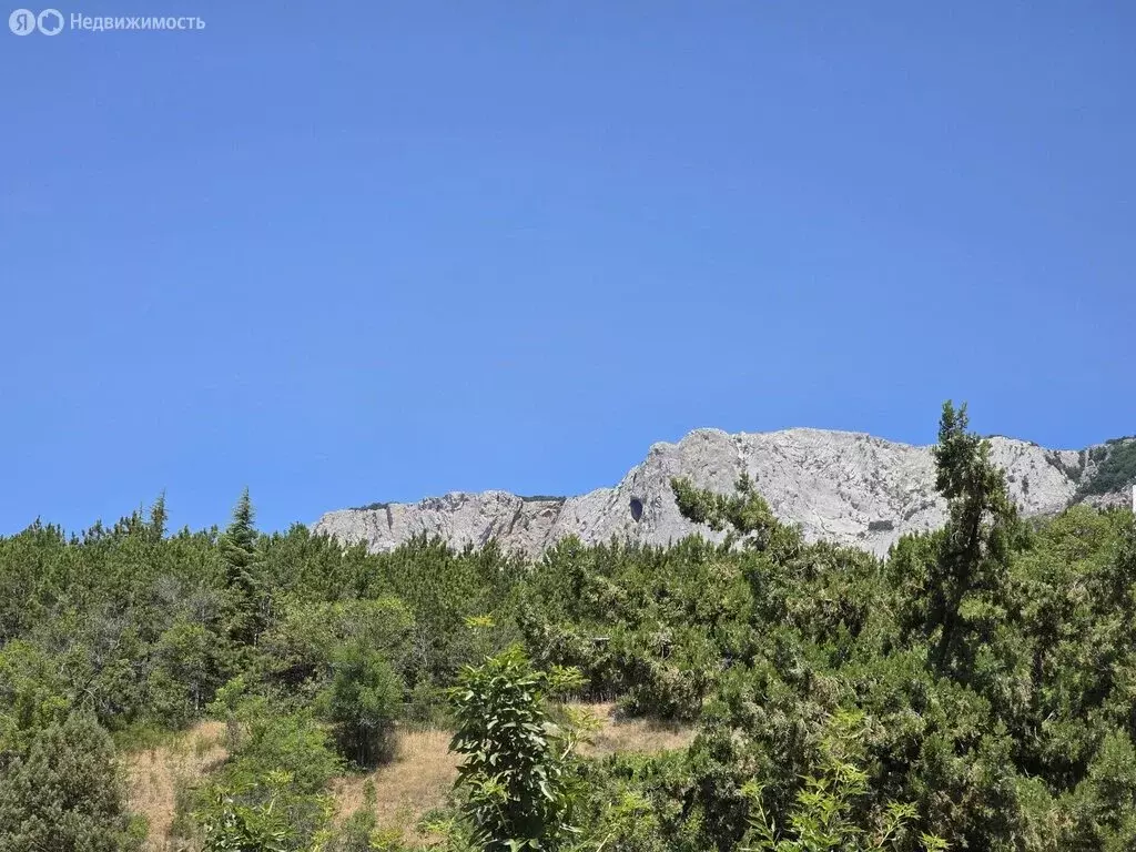 Участок в село Оползневое, Севастопольское шоссе, 17 (4 м) - Фото 1