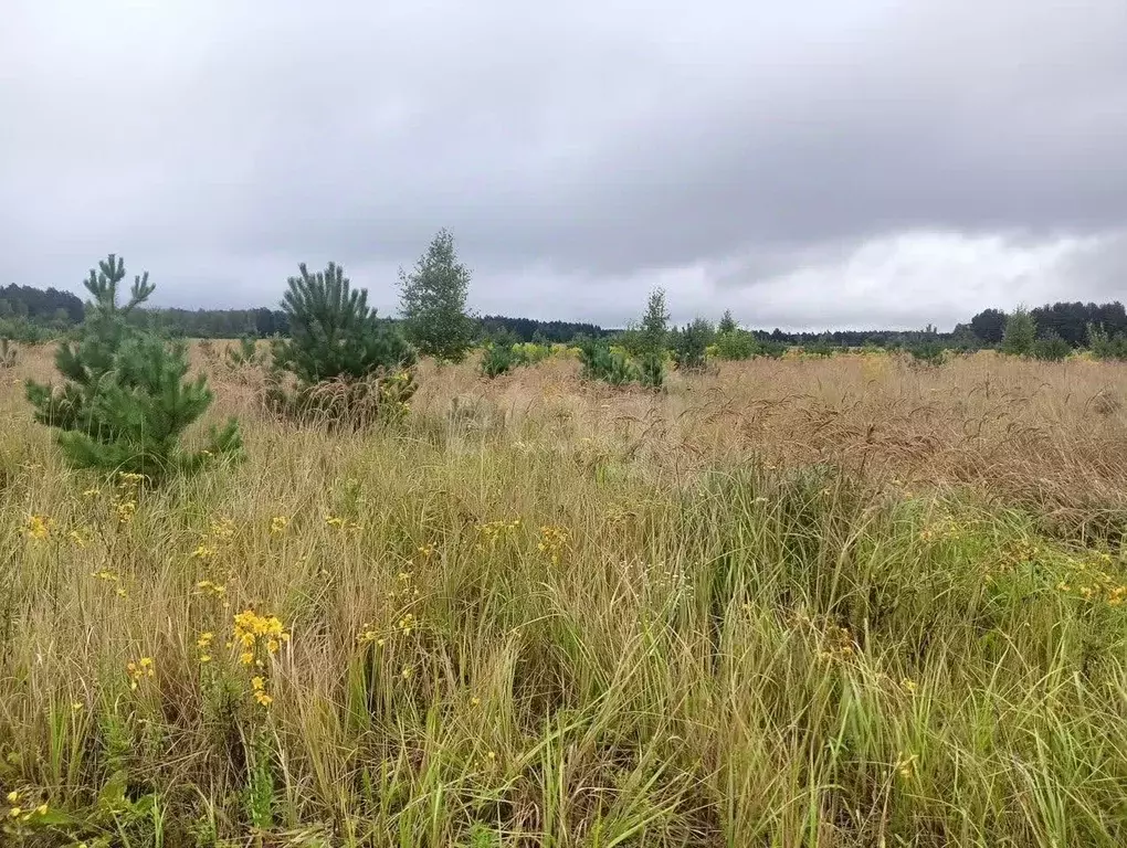 Участок в Тульская область, Алексин городской округ, д. Мясоедово  ... - Фото 2