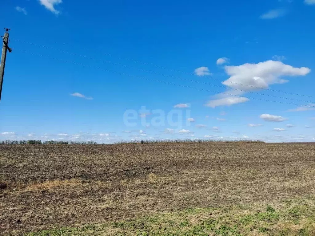 Участок в Белгородская область, Красногвардейский район, Засосенское ... - Фото 1
