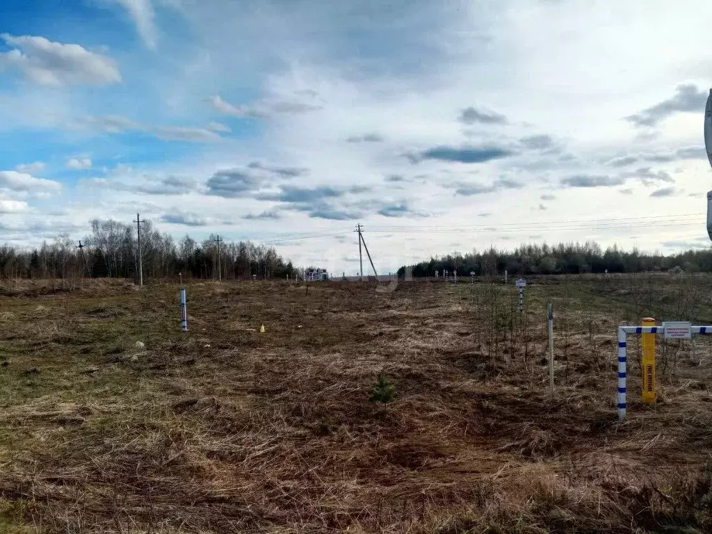 участок в нижегородская область, богородский муниципальный округ, д. . - Фото 1