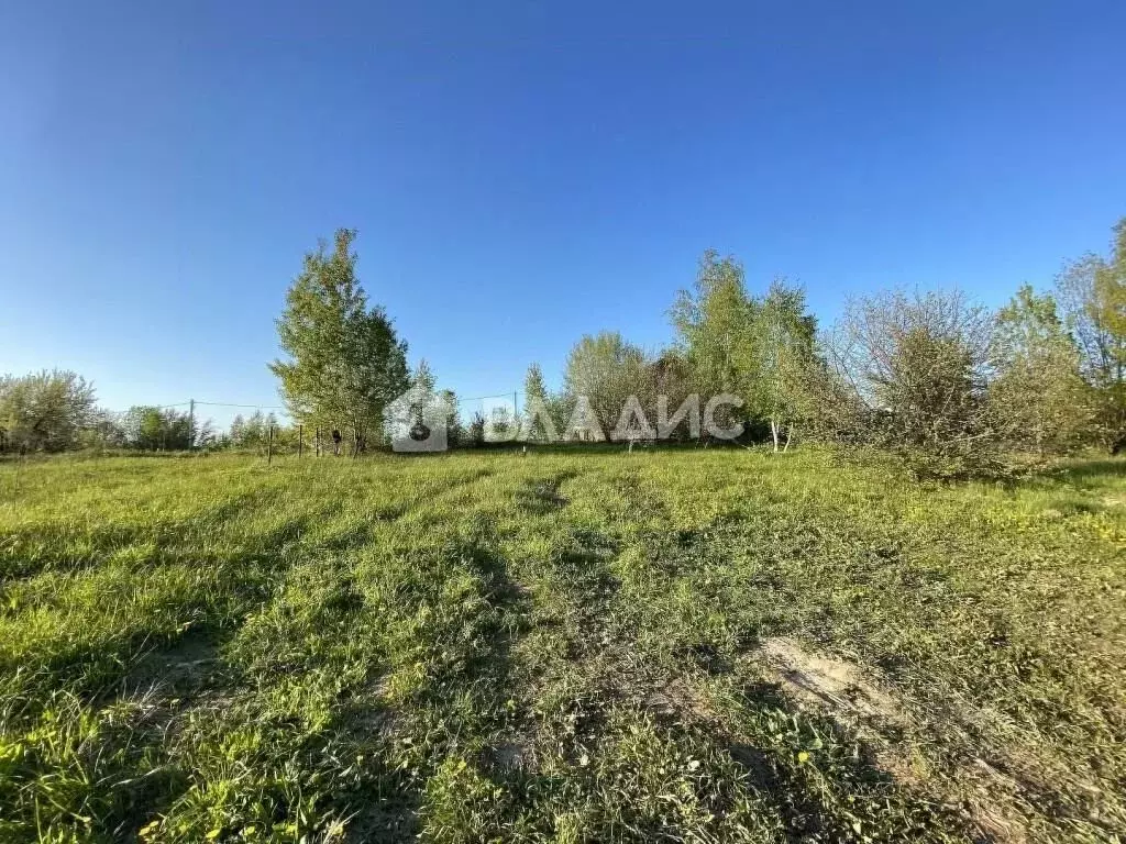 Участок в Нижегородская область, Кстовский муниципальный округ, ... - Фото 1