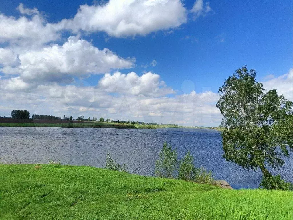 Участок 10 сот. (СНТ, ДНП) - Фото 0