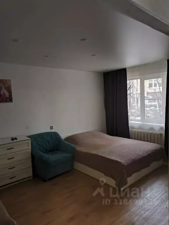 1-к кв. Псковская область, Псков Ольгинская наб., 9 (33.0 м) - Фото 1