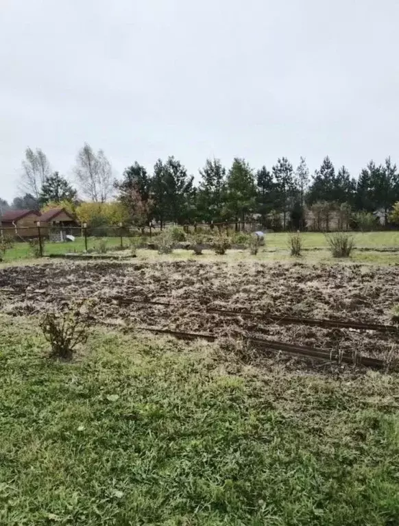 Дом в Ярославская область, Тутаевский муниципальный округ, д. ... - Фото 1