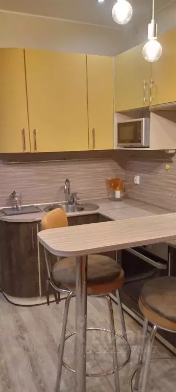 Студия Ленинградская область, Мурино Всеволожский район, аллея ... - Фото 1