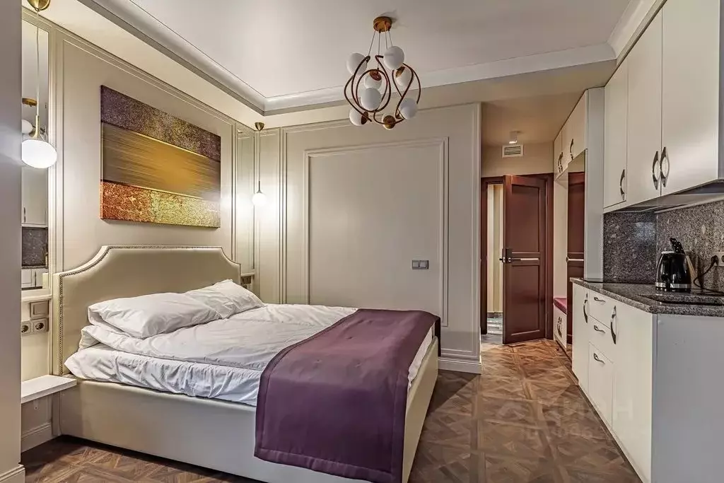 Студия Санкт-Петербург ул. Писарева, 18 (20.0 м) - Фото 1