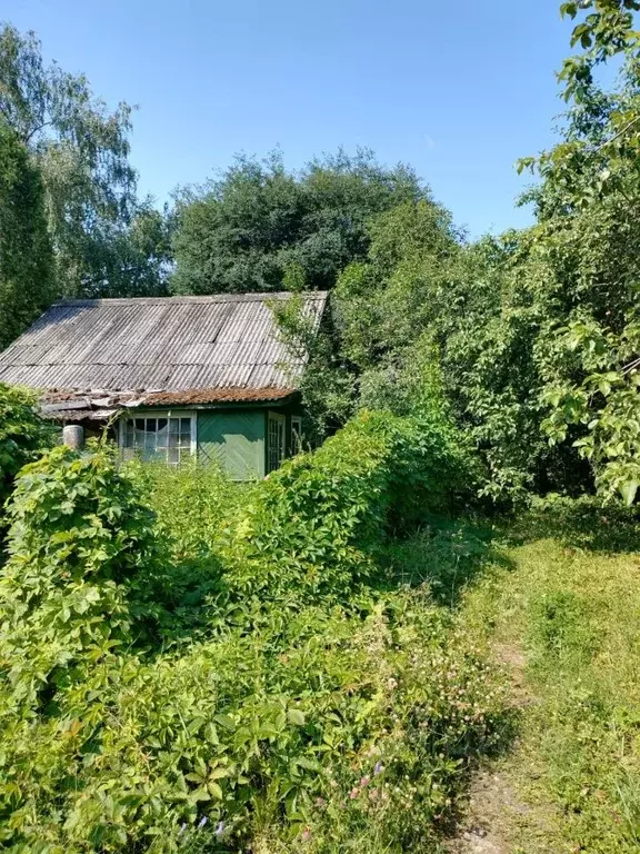 Участок в Московская область, Одинцовский городской округ, Луч СНТ 19 ... - Фото 0