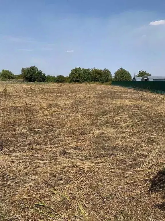 Участок в Краснодарский край, Краснодар Учхоз Кубань жилмассив,  (50.0 ... - Фото 1