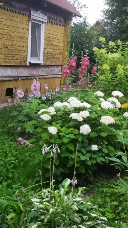 Участок в Псковская область, Плюсса рп ул. Скворцова, 14 (18.0 сот.) - Фото 2