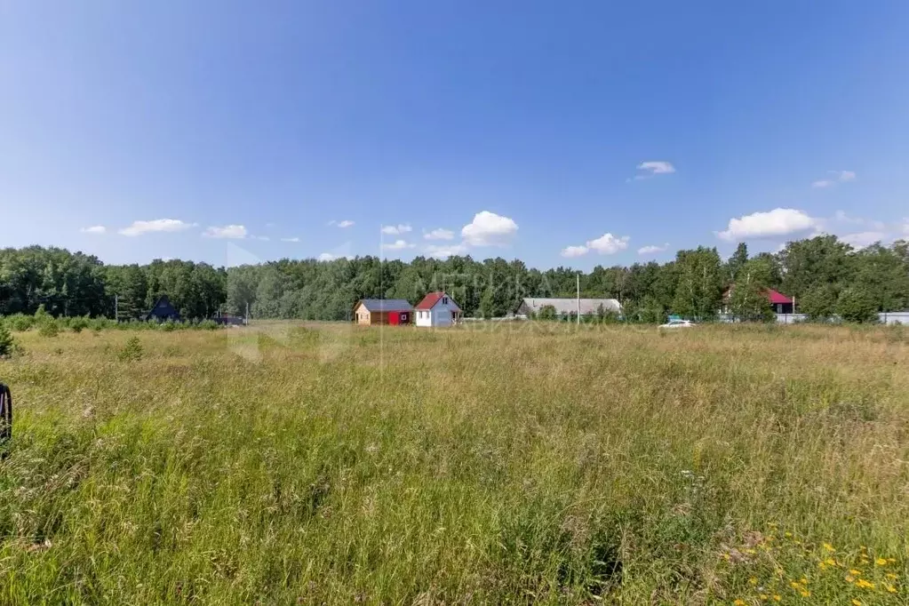 Участок в Тюменская область, Тюменский район, с. Кулига  (14.23 сот.) - Фото 0