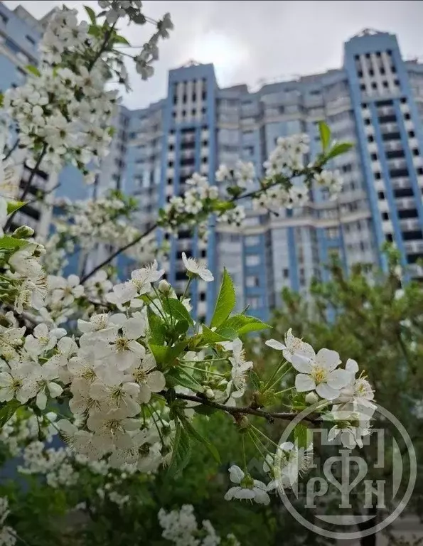 3-к кв. Санкт-Петербург просп. Просвещения, 43 (92.87 м) - Фото 1