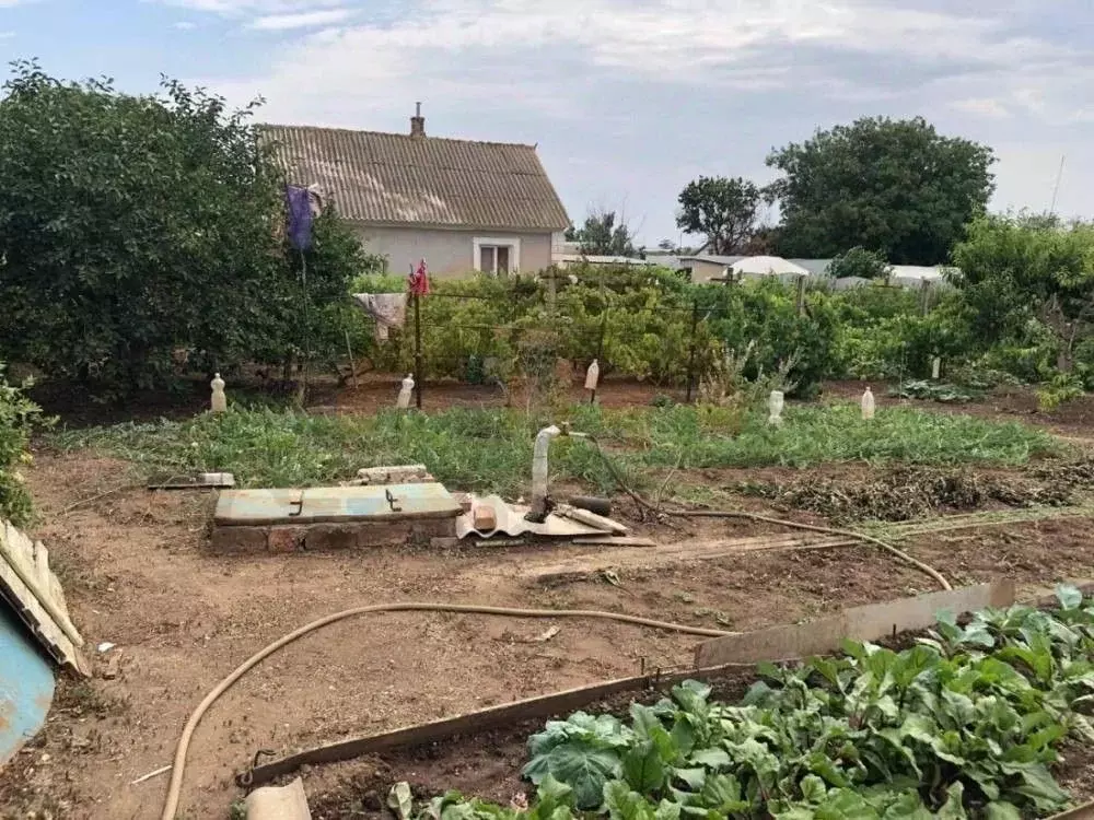 Участок в Крым, Сакский район, Ореховское с/пос, с. Червоное ул. ... - Фото 1