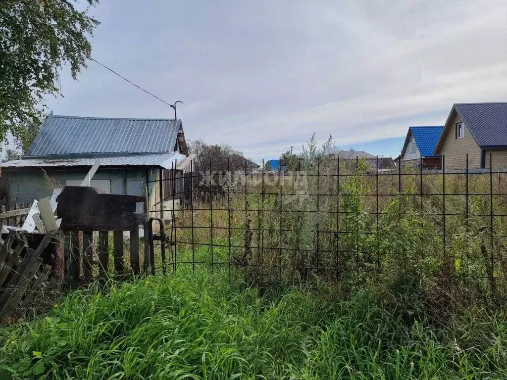 Участок в Новосибирская область, Новосибирский район, Криводановский ... - Фото 1