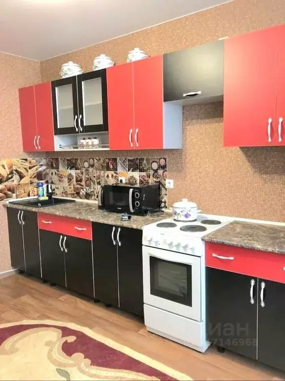 1-к кв. Омская область, Омск ул. Конева, 8 (39.0 м) - Фото 1