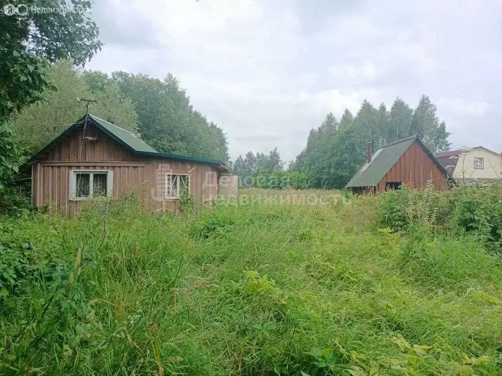 Дом в Новгородская область, Солецкий муниципальный округ, деревня ... - Фото 1