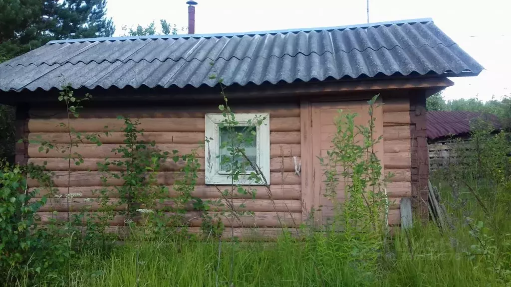 Участок в Ленинградская область, Гатчинский муниципальный округ, Чаща ... - Фото 2