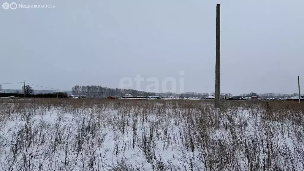 Участок в городской округ Ульяновск, село Лаишевка, Плановая улица (10 ... - Фото 2