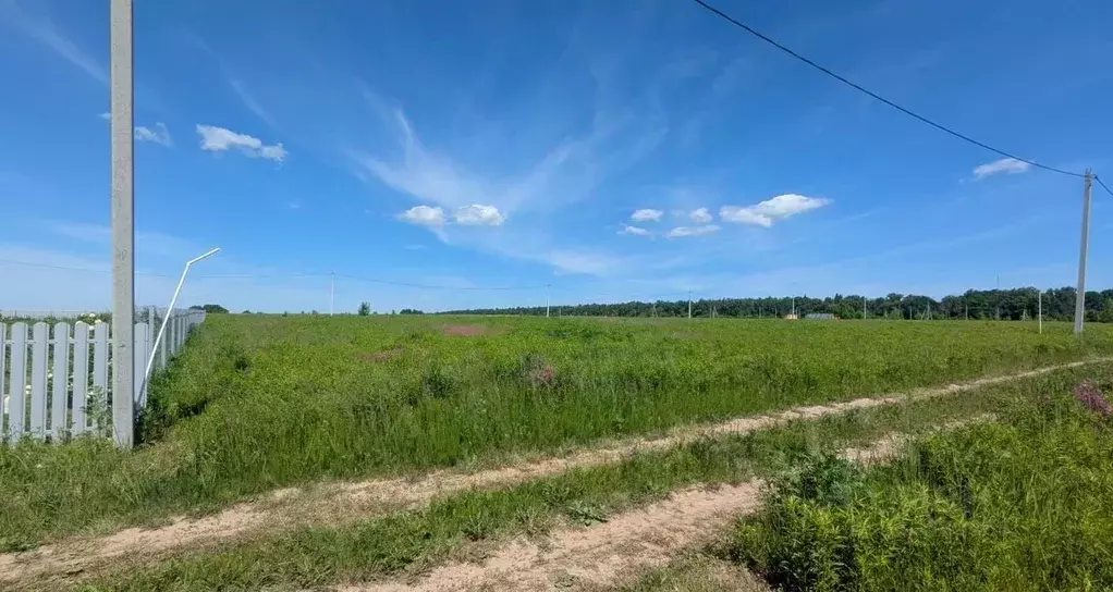 Участок в Московская область, Луховицы муниципальный округ, с. ... - Фото 2