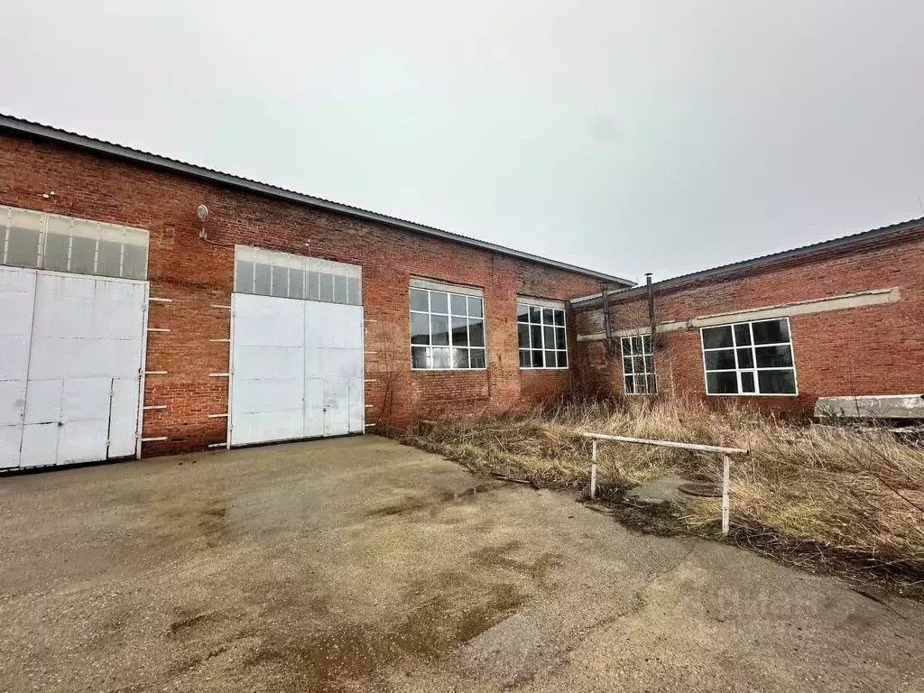 Помещение свободного назначения в Краснодарский край, Староминская ... - Фото 1