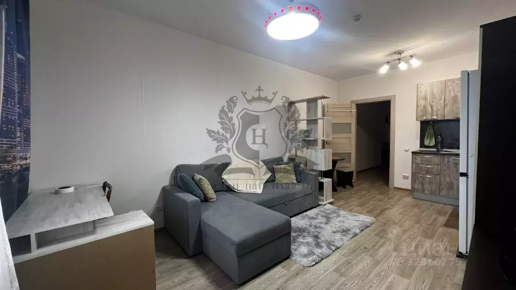 Студия Санкт-Петербург просп. Васнецовский, 20 (31.9 м) - Фото 2