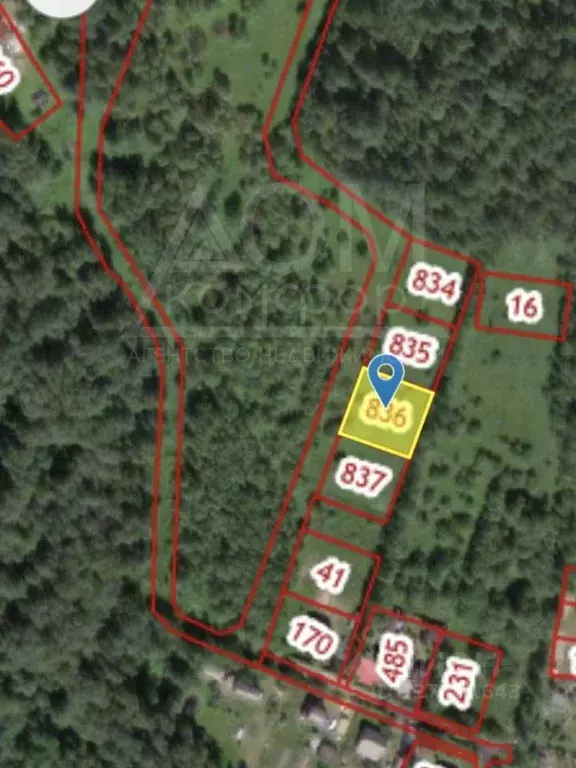 Участок в Ленинградская область, Приозерский район, Ромашкинское ... - Фото 2