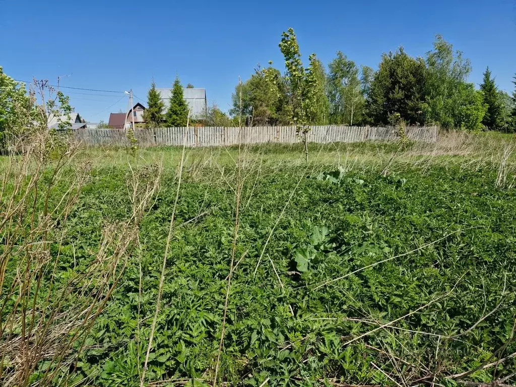 Участок в Московская область, Ступино городской округ, д. Сафроново ... - Фото 0