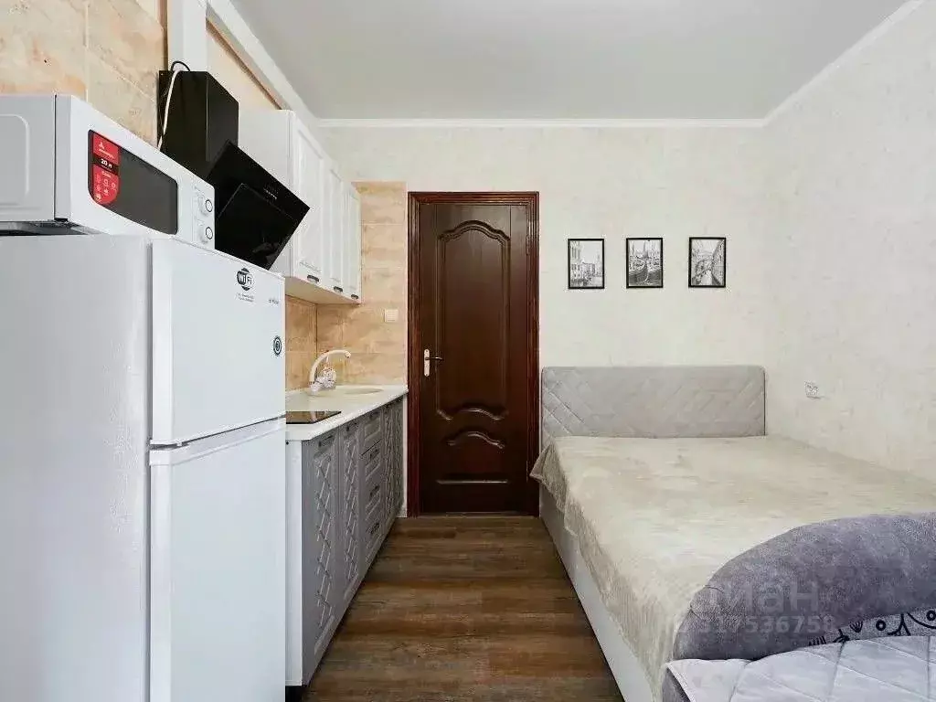 1-к кв. Ставропольский край, Кисловодск Пикетный пер., 12 (25.0 м) - Фото 1