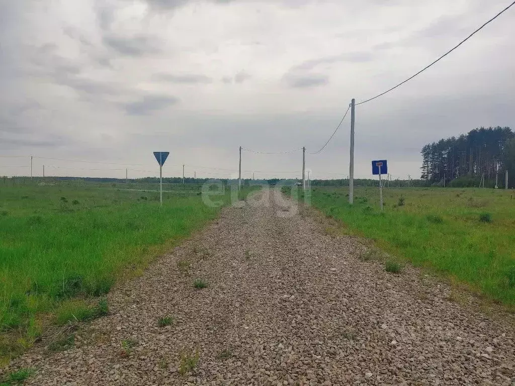 Участок в Брянская область, Брянский район, Новодарковичское с/пос, д. ... - Фото 1