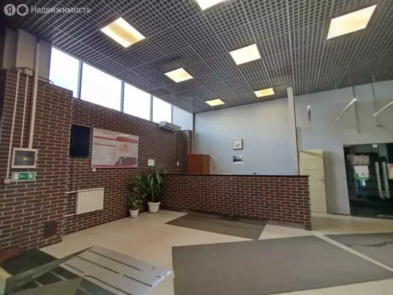 Офис (52.8 м) - Фото 1