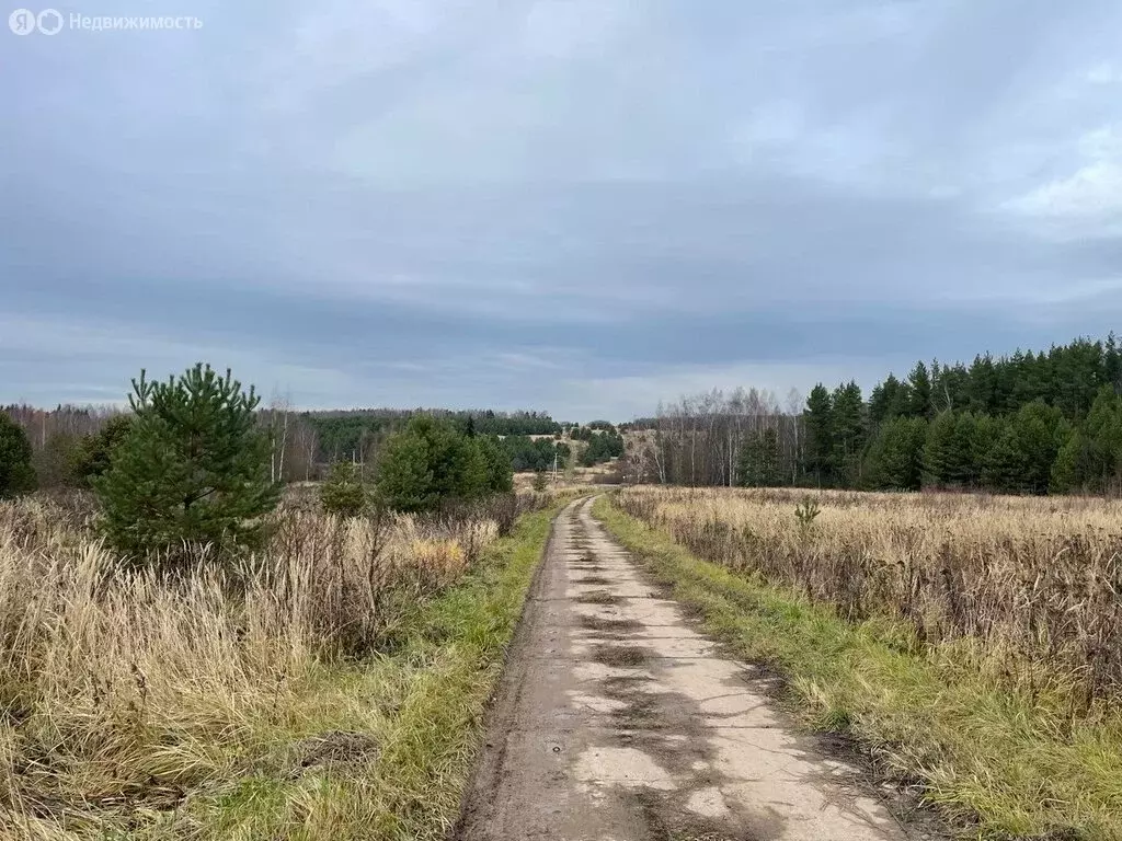 Участок в Владимирская область, Кольчугинский муниципальный округ, ... - Фото 1