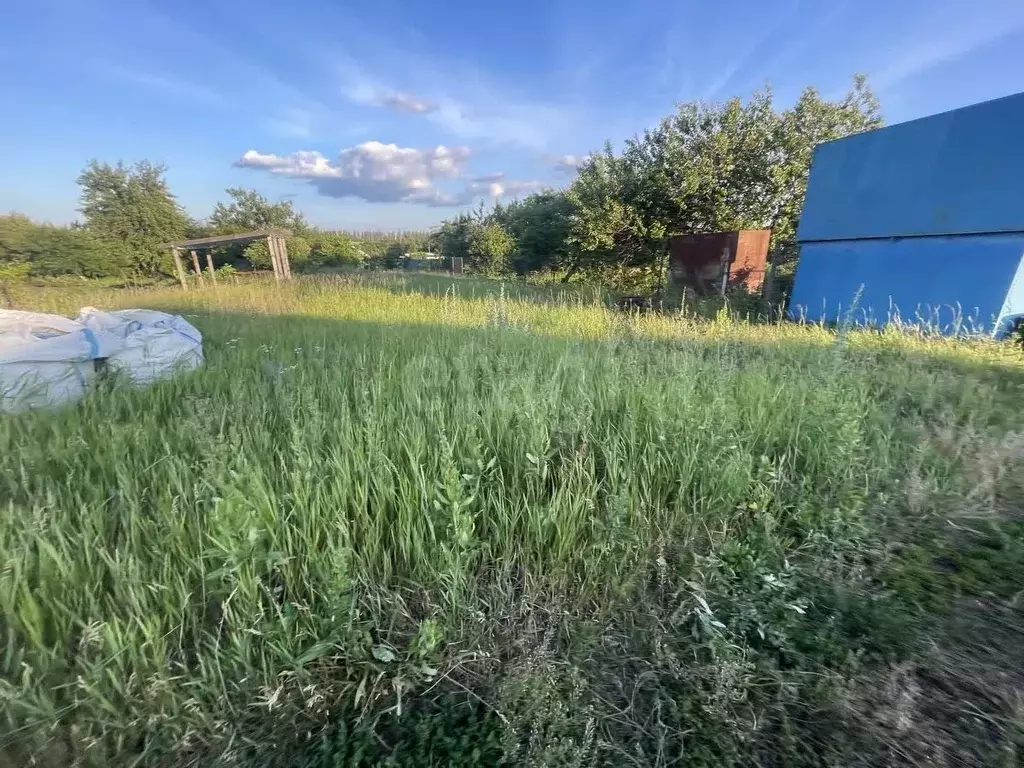 Участок в Белгородская область, Белгородский район, с. Стрелецкое, ... - Фото 1