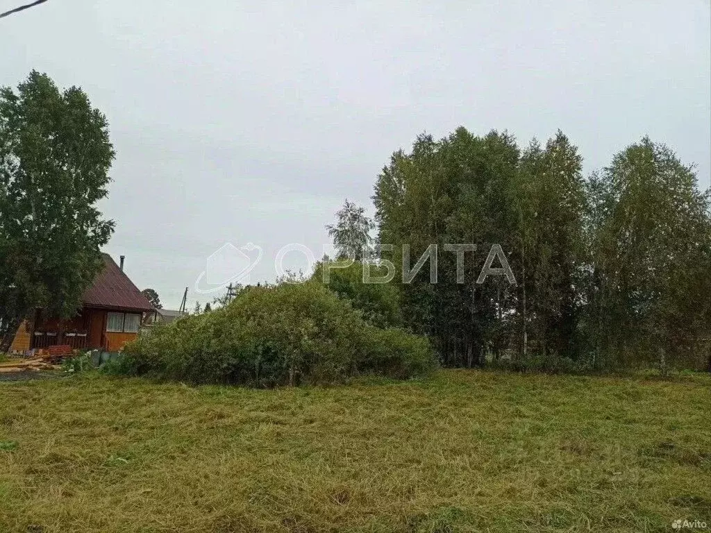 Участок в Тюменская область, Нижнетавдинский муниципальный округ, ... - Фото 2